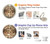 S0177 Michelangelo Chapel ceiling Case For Sony Xperia 10 V