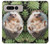 S3863 Pygmy Hedgehog Dwarf Hedgehog Paint Case For Google Pixel Fold