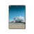 S3213 Sea Shells Under the Sea Hard Case For iPad 10.2 (2021,2020,2019), iPad 9 8 7