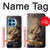 S1091 Rembrandt Christ in The Storm Case For OnePlus 12R