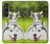 S3795 Kitten Cat Playful Siberian Husky Dog Paint Case For Sony Xperia 1 VI
