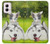 S3795 Kitten Cat Playful Siberian Husky Dog Paint Case For Motorola Moto G Power 5G (2024)