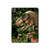 S1452 Trex Raptor Dinosaur Hard Case For iPad Pro 13 (2024,2025)