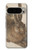 S3781 Albrecht Durer Young Hare Case For Google Pixel 9 Pro