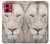 S2399 White Lion Face Case For Motorola Moto G84 S2399 White Lion Face Case For Motorola Moto G84