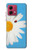 S3043 Vintage Daisy Lady Bug Case For Motorola Moto G84