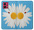 S3043 Vintage Daisy Lady Bug Case For Motorola Moto G84