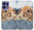 S0242 Cute Rabbit Case For Motorola Edge 50 Pro