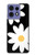 S2315 Daisy White Flowers Case For Motorola Edge 50 Pro