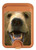 S0840 Grizzly Bear Face Magnetic Card Holder Wallet Stand with MagSafe for iPhone 16 15 14 13 Pro Max
