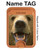 S0840 Grizzly Bear Face Magnetic Card Holder Wallet Stand with MagSafe for iPhone 16 15 14 13 Pro Max