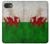 S2976 Wales Football Soccer Flag Case For iPhone 16e, 17e