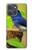 S3839 Bluebird of Happiness Blue Bird Case For Motorola Moto G Power (2025,2026)