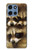 S0977 Baby Raccoons Case For Motorola Moto G 5G (2025)