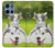 S3795 Kitten Cat Playful Siberian Husky Dog Paint Case For Motorola Moto G 5G (2025)