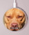S2903 American Pitbull Dog Wireless Charger Pad 15W Type-C iPhone Android LED Light Charging Station