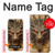 S3981 Dragon Head Old Map Case For iPhone 5 5S SE