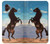 S0934 Wild Black Horse Case For Samsung Galaxy XCover7 Pro