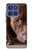 S0519 PitBull Face Case For Motorola Moto G Stylus 5G (2025,2026), Edge 60 Stylus