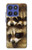 S0977 Baby Raccoons Case For Motorola Moto G Stylus 5G (2025,2026), Edge 60 Stylus