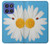 S3043 Vintage Daisy Lady Bug Case For Motorola Moto G Stylus 5G (2025,2026), Edge 60 Stylus