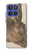 S3781 Albrecht Durer Young Hare Case For Motorola Moto G Stylus 5G (2025,2026), Edge 60 Stylus