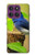 S3839 Bluebird of Happiness Blue Bird Case For Motorola Edge 60 Pro