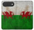 S2976 Wales Football Soccer Flag Case For iPhone Air