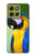 S3888 Macaw Face Bird Case For Motorola Moto G86