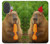S4068 Capybara Butterfly Case For iPhone 17