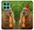 S4068 Capybara Butterfly Case For Motorola Edge 60 Fusion
