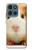 S1619 Cute Guinea Pig Case For Motorola Moto G (2026), G Play (2026)
