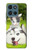S3795 Kitten Cat Playful Siberian Husky Dog Paint Case For Motorola Moto G (2026), G Play (2026)