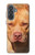 S2903 American Pitbull Dog Case For Samsung Galaxy A37