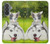 S3795 Kitten Cat Playful Siberian Husky Dog Paint Case For Samsung Galaxy A37