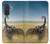 S0150 Desert Scorpion Case For Samsung Galaxy A57