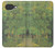 S3748 Van Gogh A Lane in a Public Garden Case For Google Pixel 10a
