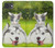 S3795 Kitten Cat Playful Siberian Husky Dog Paint Case For iPhone 17e