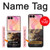 S1091 Rembrandt Christ in The Storm Case For Samsung Galaxy Z Flip 8