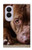 S0519 PitBull Face Case For Samsung Galaxy Z Fold 8