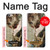 S0179 Michelangelo Creation of Adam Case For iPhone 6 6S