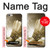 S0979 Badminton Sport Art Case For iPhone 6 Plus, iPhone 6s Plus