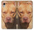 S2903 American Pitbull Dog Case For iPhone XR