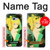 S0095 Peter Pan's Tinker Bell Case For Samsung Galaxy A5 (2017)