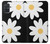 S2315 Daisy White Flowers Case For Samsung Galaxy A71 S2315 Daisy White Flowers Case For Samsung Galaxy A71