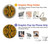 S3365 Yellow Python Skin Graphic Print Case For Samsung Galaxy S20