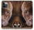 S0519 PitBull Face Case For iPhone 12, iPhone 12 Pro