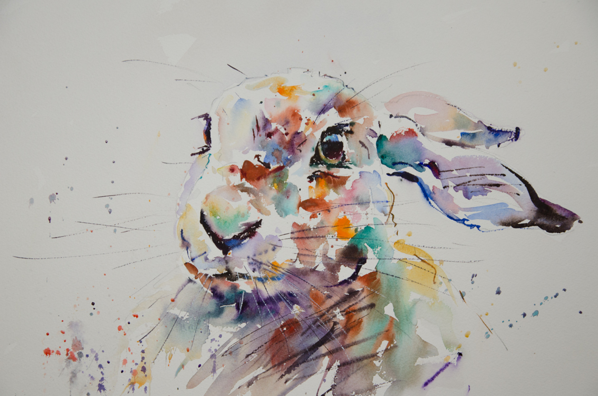 Going Wild In Watercolour With Jake Winkle