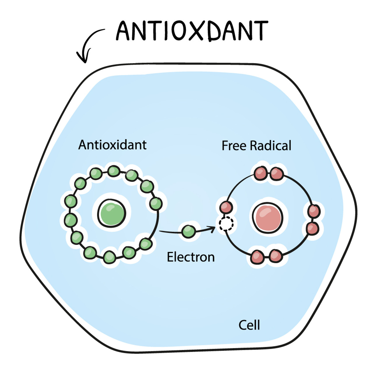 Antioxidants: What They Are & Why They're Important For Skin