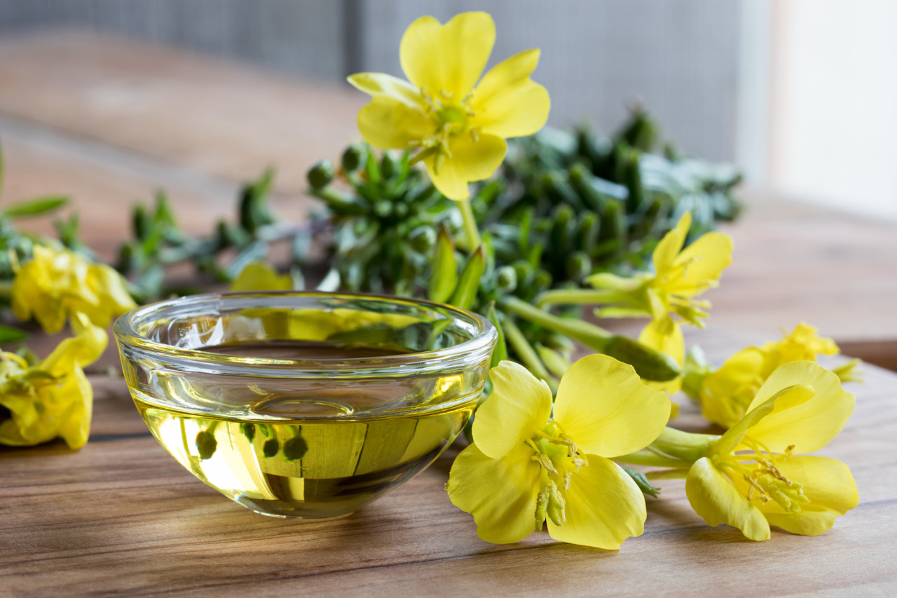 GLA Oil Benefits and Topical Evening Primrose Oil Benefits For Skin